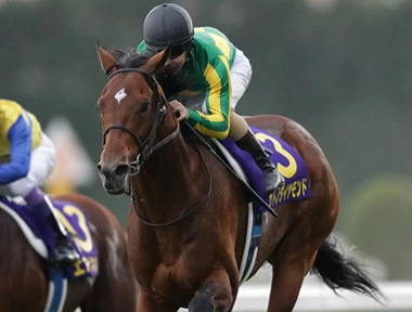 古馬キタサンブラック×３歳サトノダイヤモンド。有馬はどっちが強いか